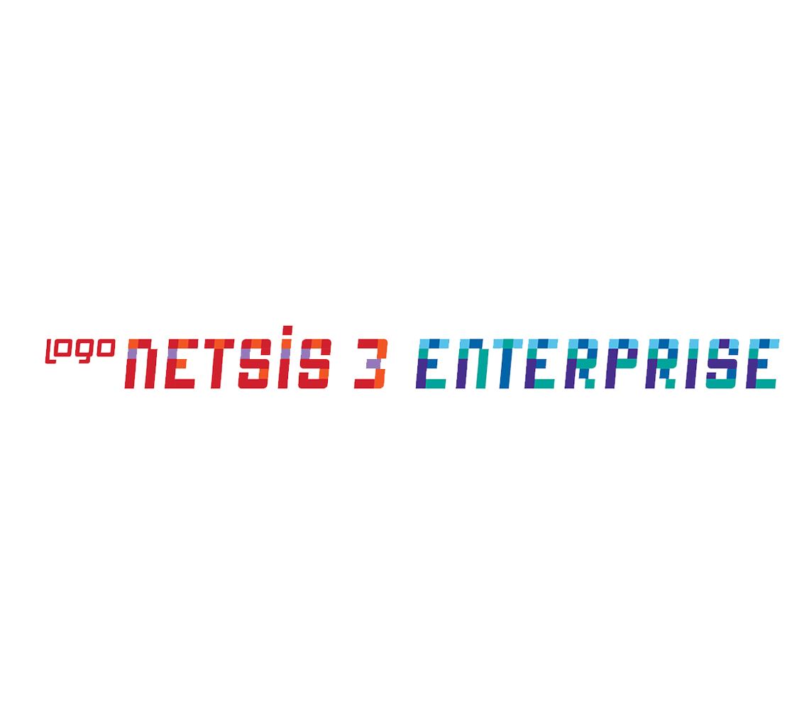 Logo Netsis 3 Enterprise